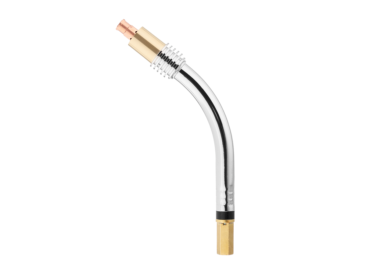 Гусак (MS 26) ICZ0636